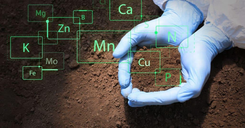Soil Remediation & Testing in Plymouth